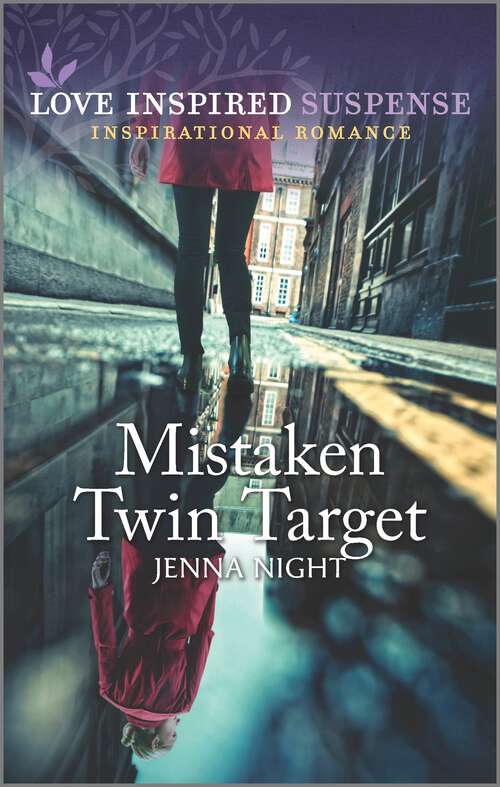 Book cover of Mistaken Twin Target (Original) (Range River Bounty Hunters #3)