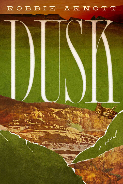 Book cover of Dusk: A Novel