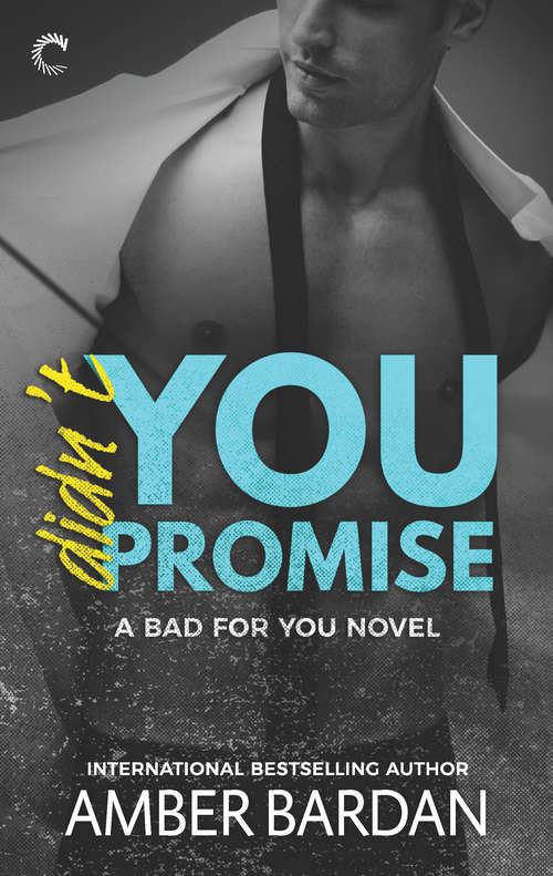Book cover of Didn't You Promise