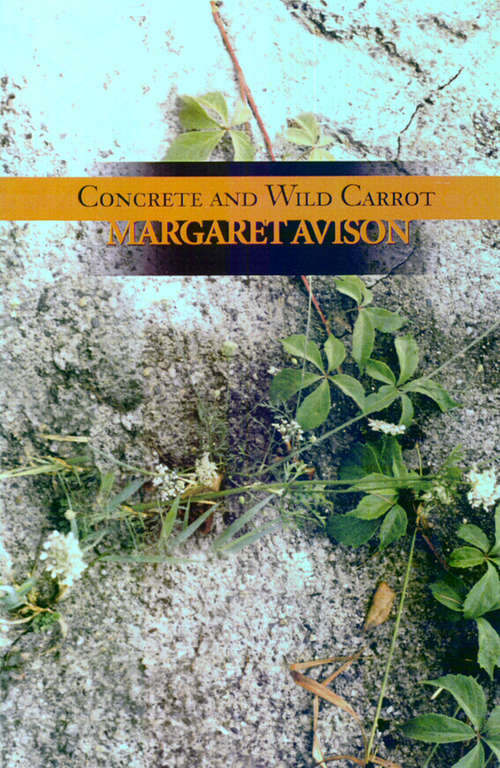 Book cover of Concrete and Wild Carrot