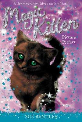 Book cover of Picture Perfect #13