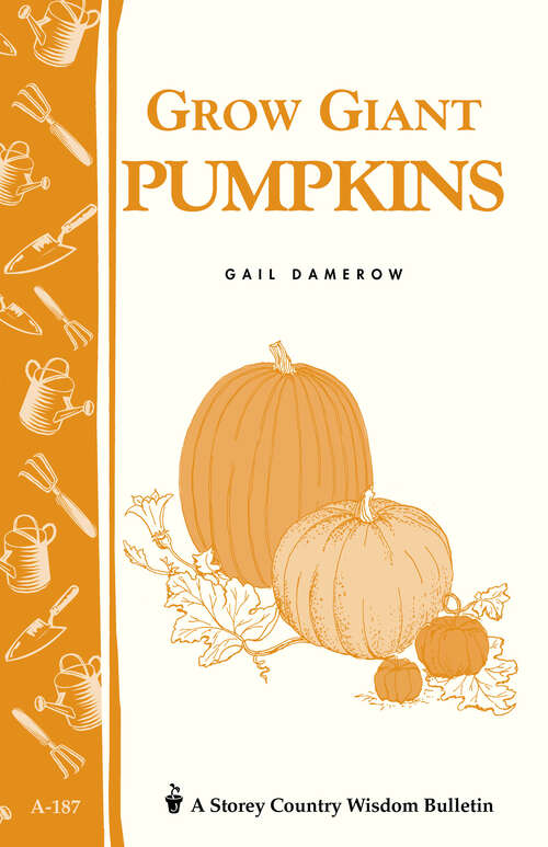 Book cover of Grow Giant Pumpkins: Storey's Country Wisdom Bulletin A-187 (A\storey Country Wisdom Bulletin Ser.: Vol. 187)