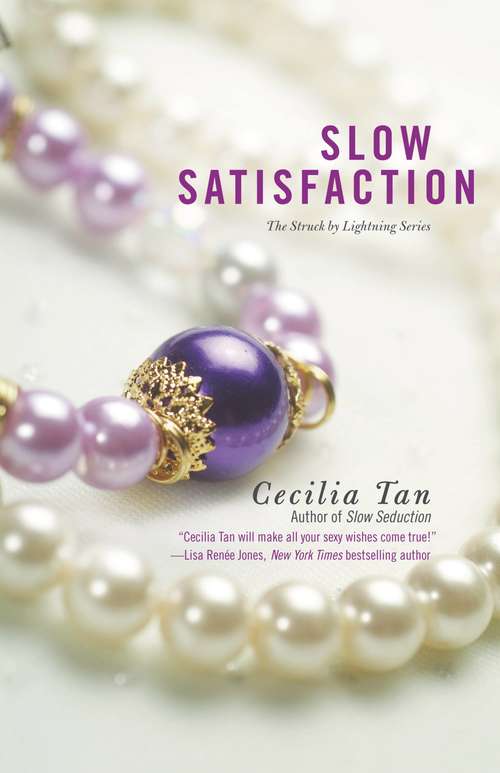 Book cover of Slow Satisfaction