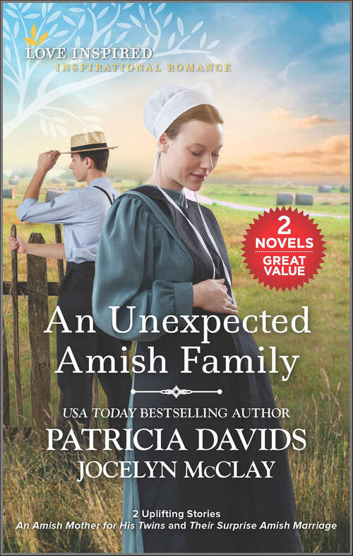 Book cover of An Unexpected Amish Family (Reissue)
