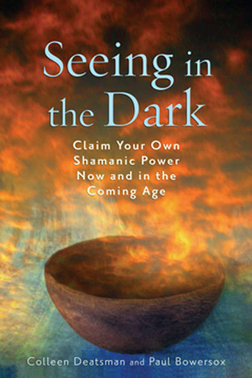 Book cover of Seeing in the Dark