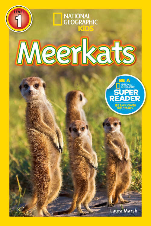 Book cover of Meerkats (Readers)