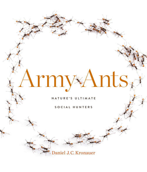 Book cover of Army Ants: Nature's Ultimate Social Hunters