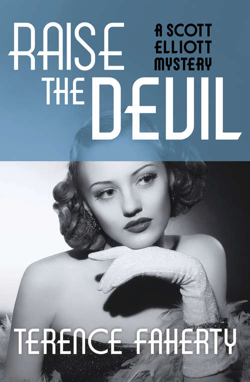 Book cover of Raise the Devil