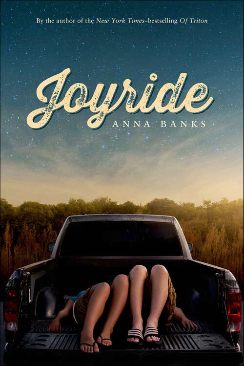 Book cover of Joyride