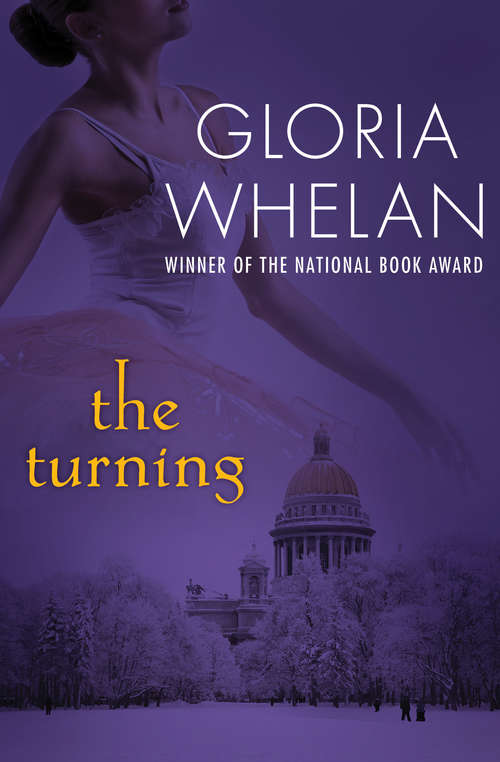 Book cover of The Turning