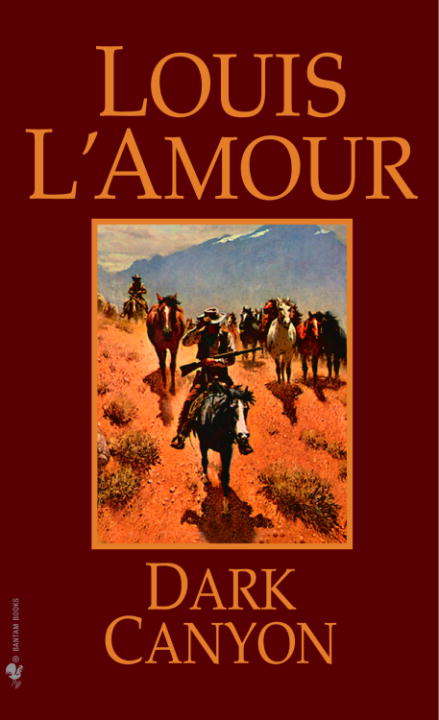 Book cover of Dark Canyon