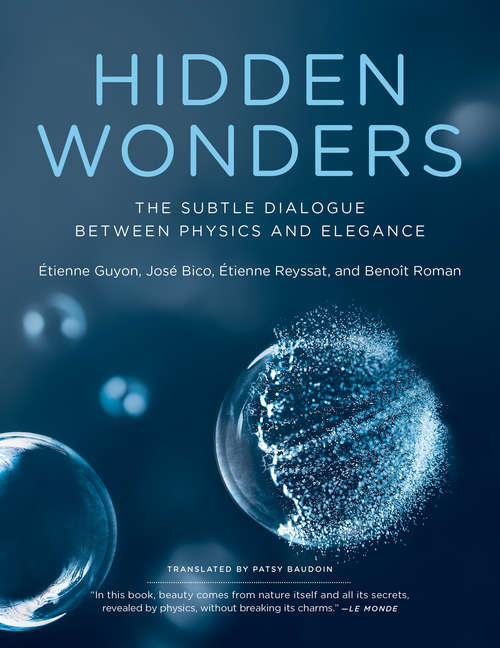 Book cover of Hidden Wonders: The Subtle Dialogue Between Physics and Elegance