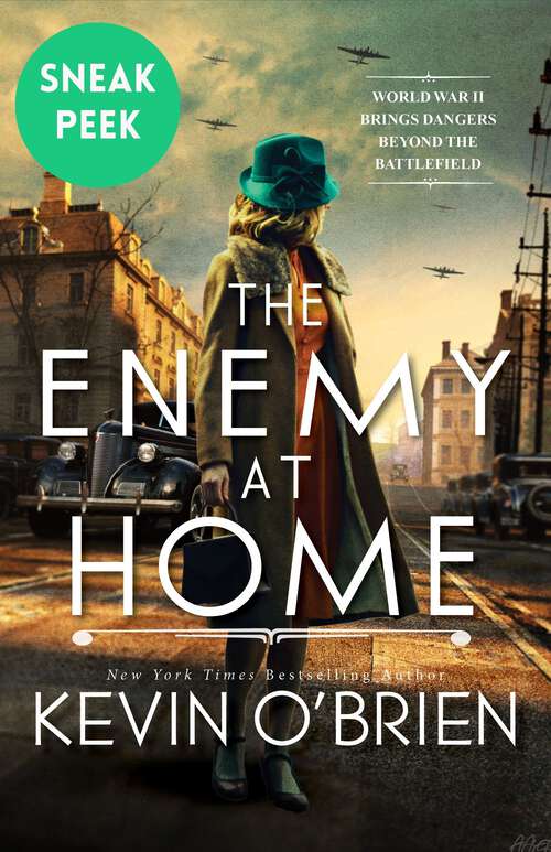 Book cover of The Enemy at Home: Sneak Peek