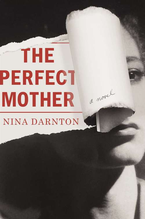 Book cover of The Perfect Mother