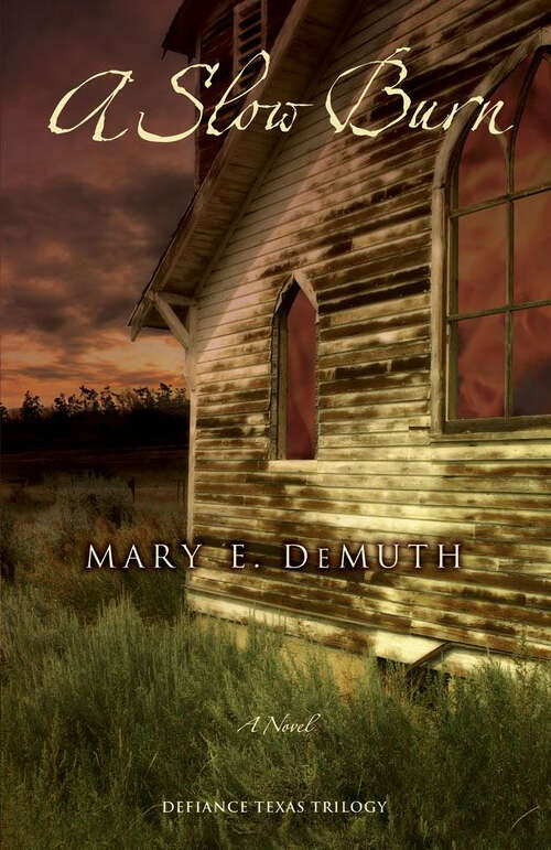 Book cover of A Slow Burn: A Novel (Defiance Texas Trilogy)