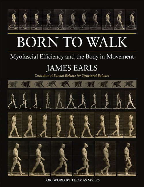 Book cover of Born to Walk