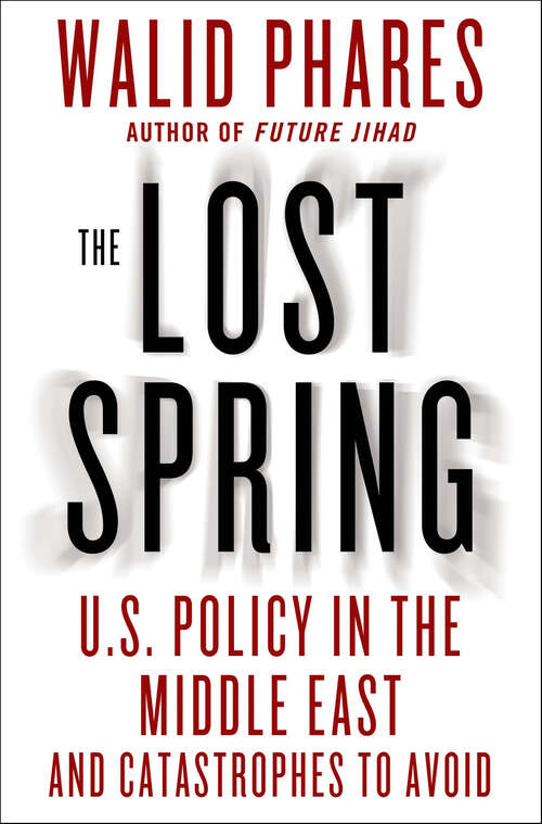 Book cover of The Lost Spring: U.S. Policy in the Middle East and Catastrophes to Avoid