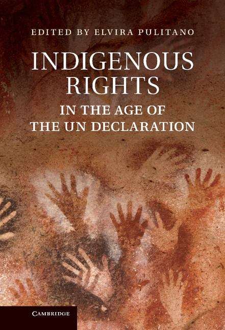Book cover of Indigenous Rights in the Age of the UN Declaration