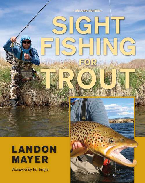 Book cover of Sight Fishing for Trout (2nd Edition)