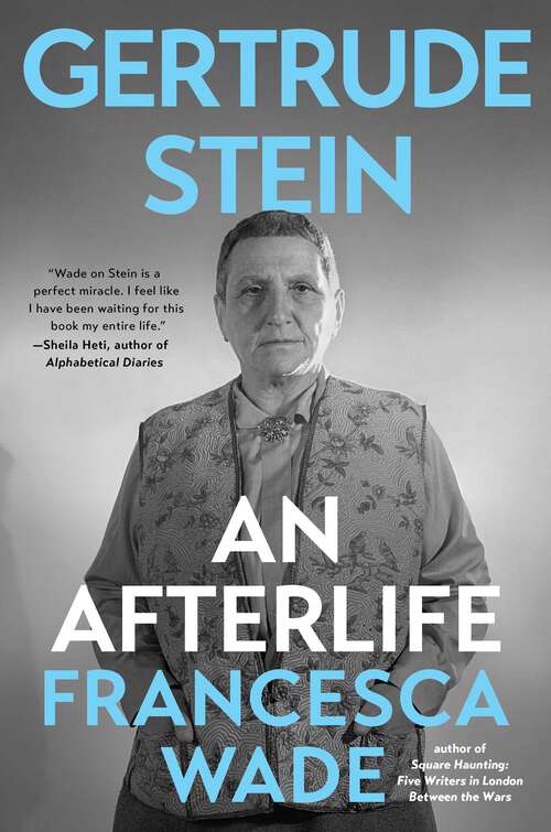 Book cover of Gertrude Stein: An Afterlife