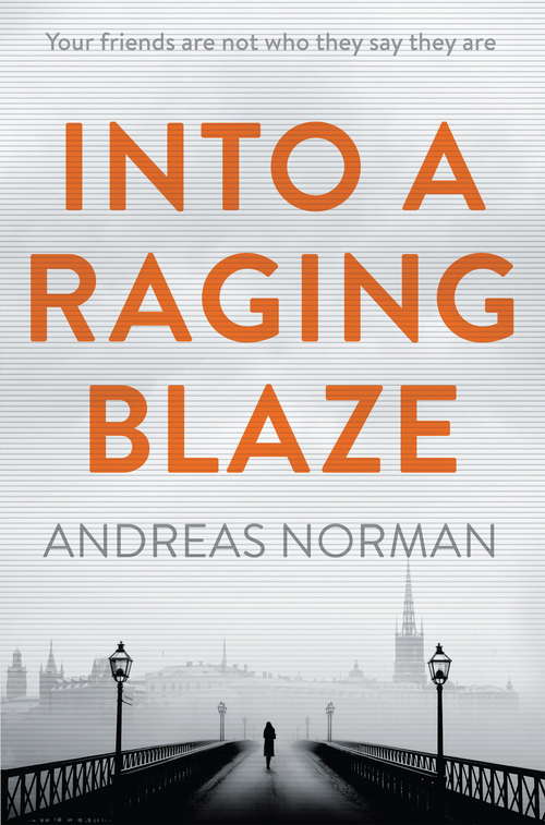 Book cover of Into a Raging Blaze