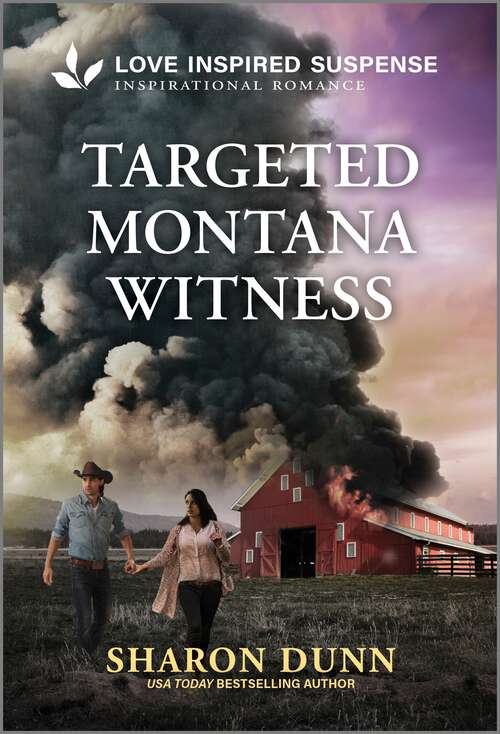 Book cover of Targeted Montana Witness (Original)