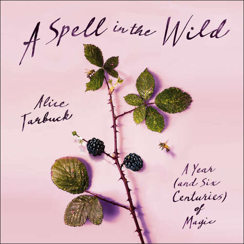 Book cover of A Spell in the Wild: A Year (and six centuries) of Magic