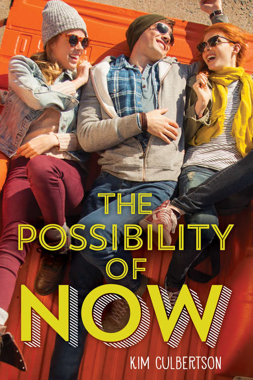 Book cover of The Possibility of Now (Point Ser.)