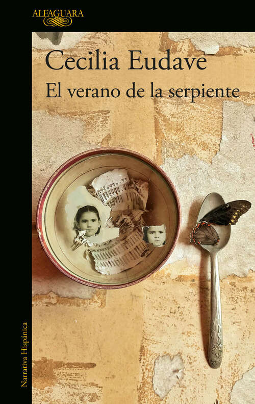 Book cover of El verano de la serpiente