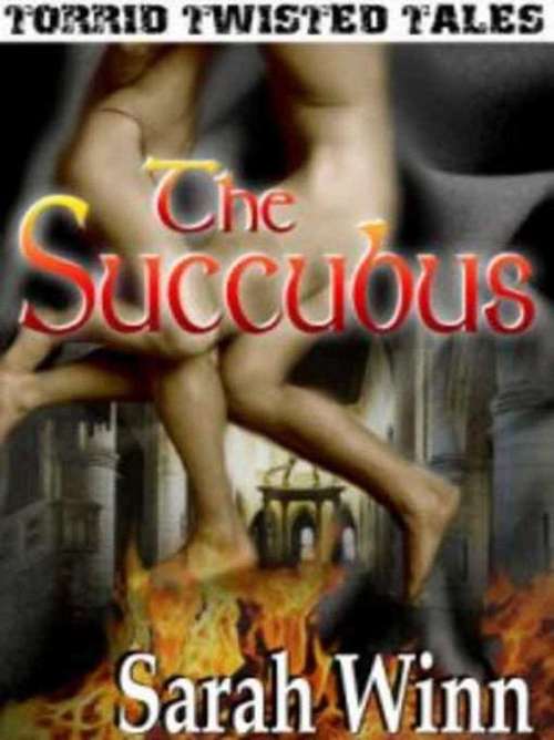 Book cover of The Succubus