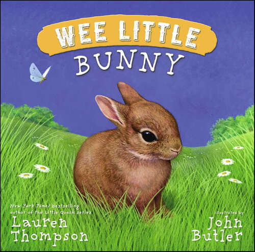 Book cover of Wee Little Bunny (Wee Little Ser.)