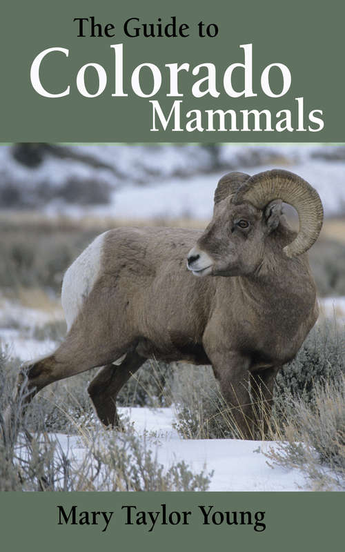 Book cover of The Guide to Colorado Mammals