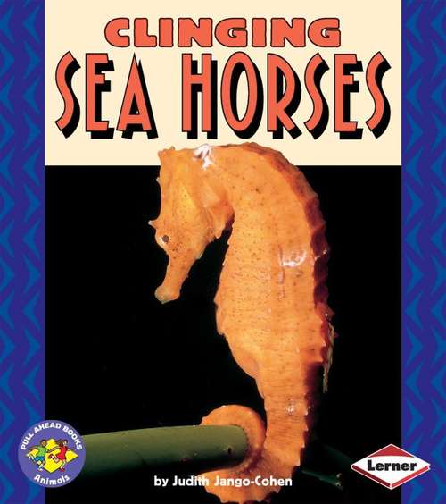 Book cover of Clinging Sea Horses