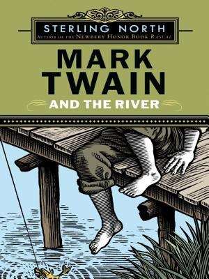 Book cover of Mark Twain and the River