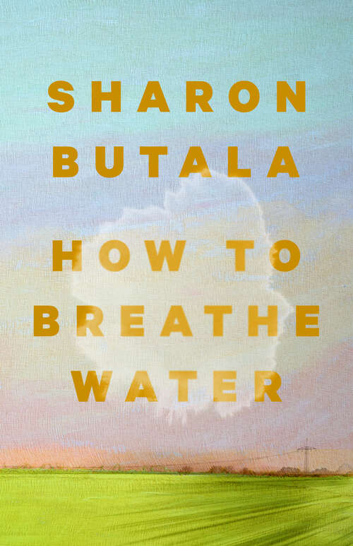 Book cover of How to Breathe Water