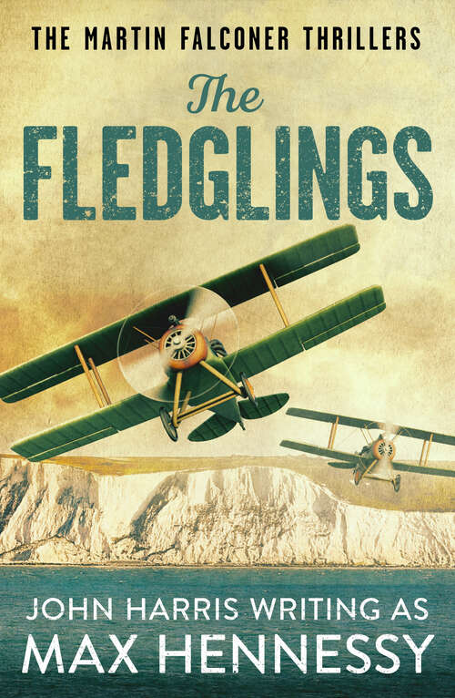 Book cover of The Fledglings (Martin Falconer Thrillers)