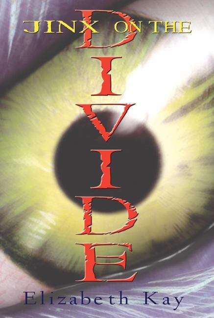 Book cover of The Jinx on the Divide (The Divide #3)