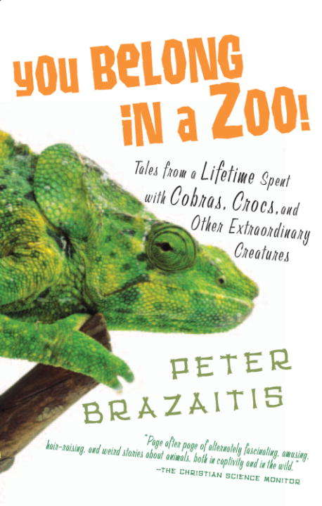 Book cover of You Belong in a Zoo!