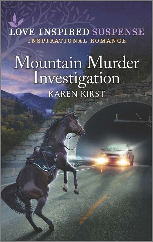 Mountain Murder Investigation (Smoky Mountain Defenders)