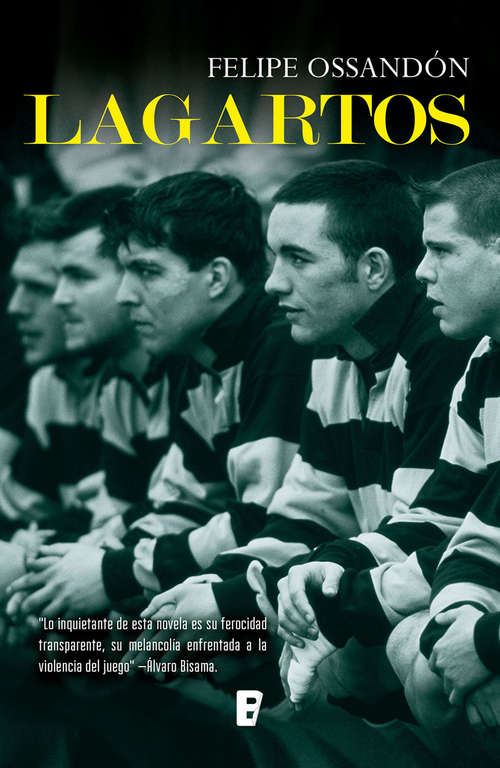 Book cover of Lagartos