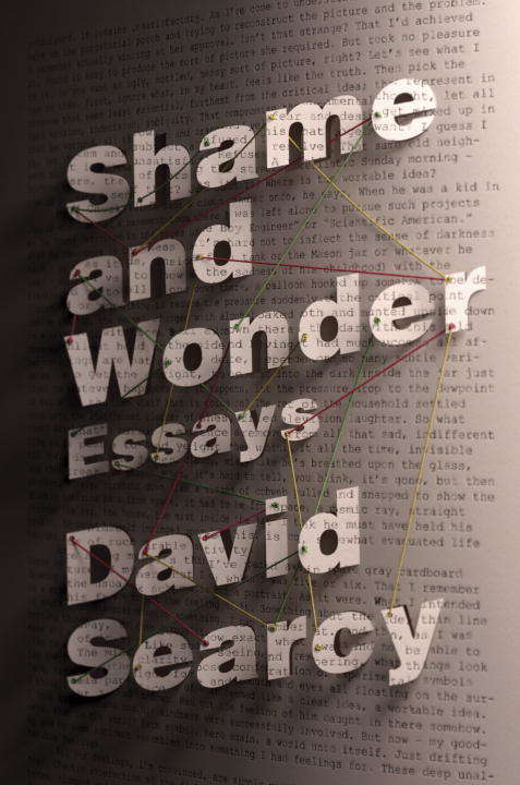 Book cover of Shame and Wonder