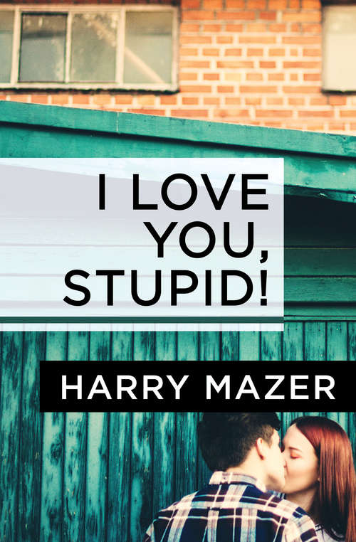 Book cover of I Love You, Stupid!