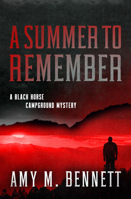 Book cover of A Summer to Remember (Black Horse Campground Mysteries)