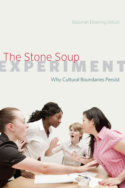 Book cover of The Stone Soup Experiment: Why Cultural Boundaries Persist