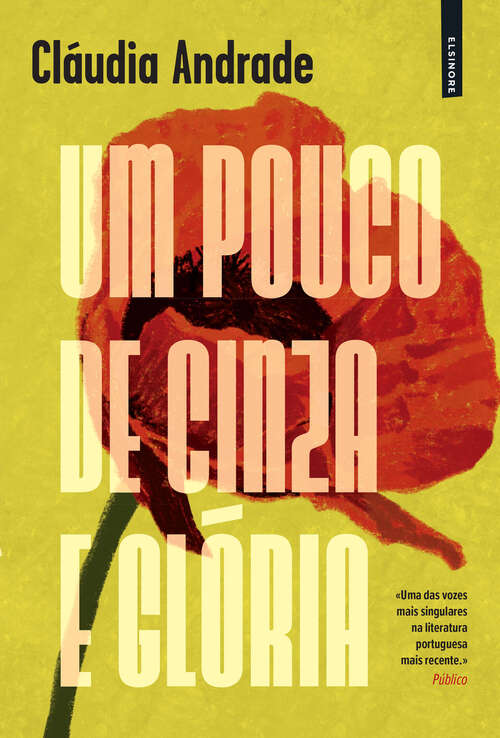 Book cover of Um Pouco de Cinza e Glória