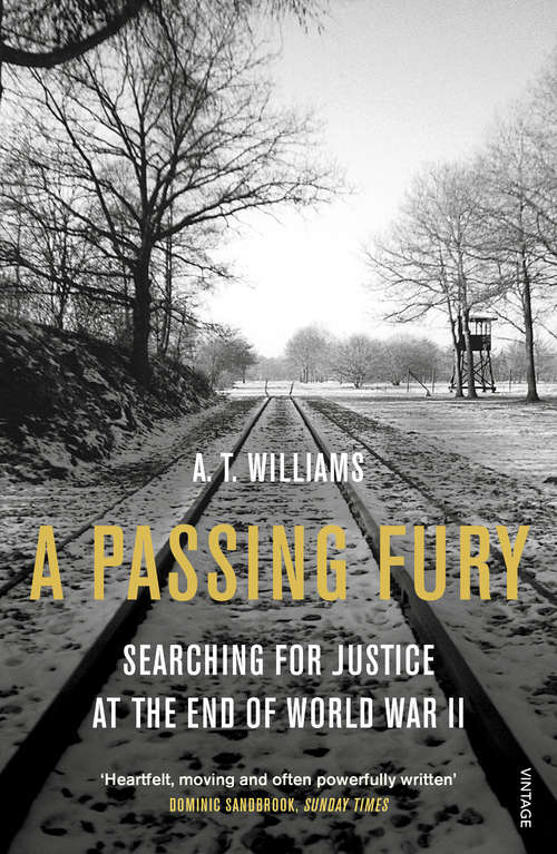 Book cover of A Passing Fury: Searching for Justice at the End of World War II