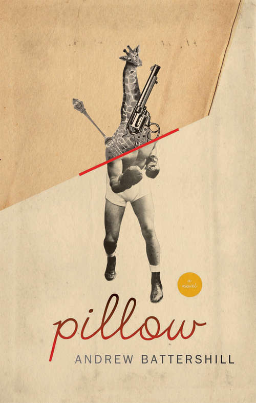 Book cover of Pillow