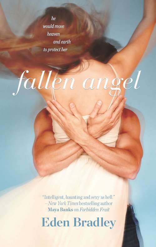 Book cover of Fallen Angel
