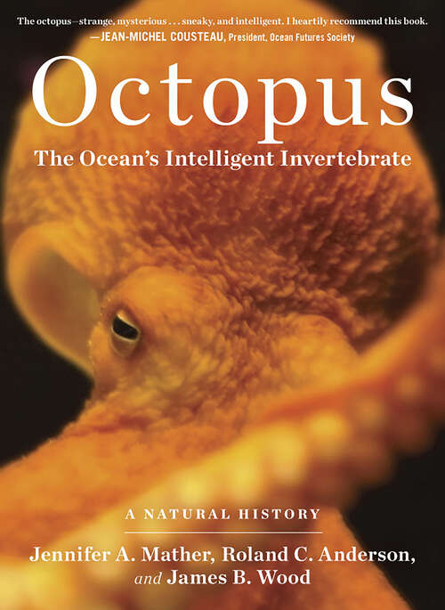 Book cover of Octopus: The Ocean's Intelligent Invertebrate