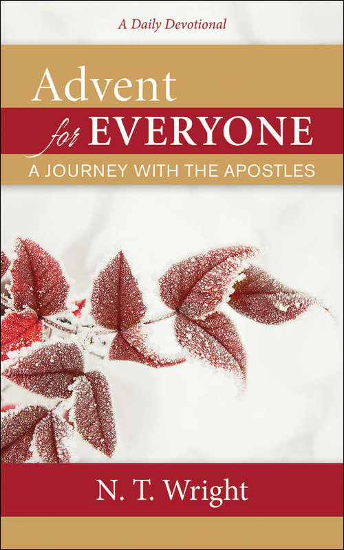 Book cover of Advent for Everyone: A Journey Through Matthew